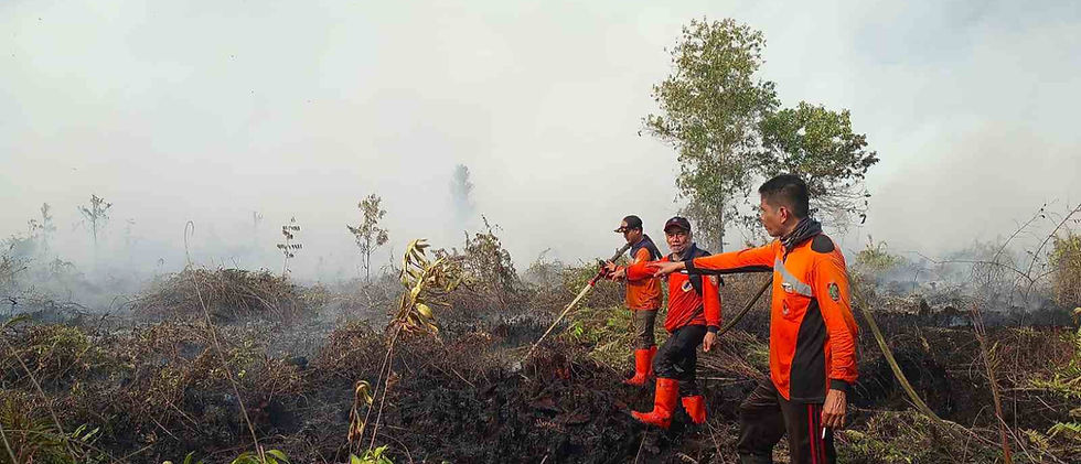 Satgas Karhutla Kalteng Perkuat Operasi Darat dan Udara, Fokus Padamkan Titik Api di Pulang Pisau dan Palangka Raya