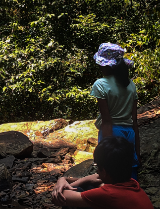 Understanding Our Backyard.png