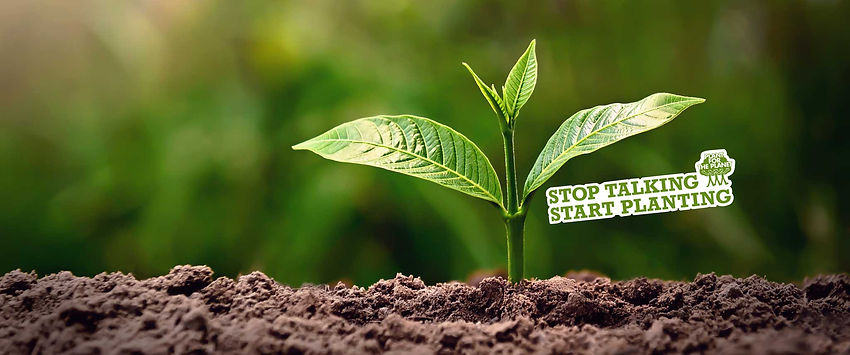 young-plant-growing-with-sunshine-nature-agriculture-earth-day-concept_780ee525-b21b-4272-
