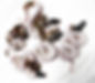 Pieds.jpg