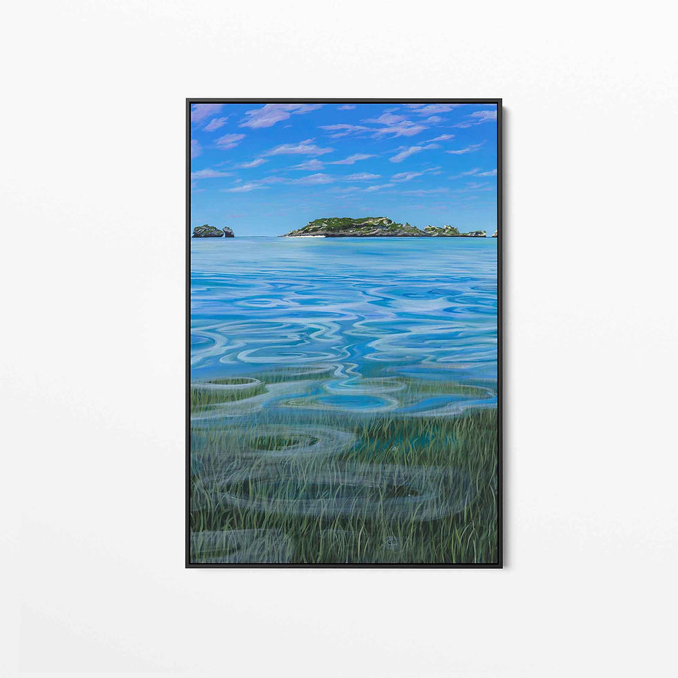 Thumbnail: Seal Island - Triptych 1 - Limited Edition Print