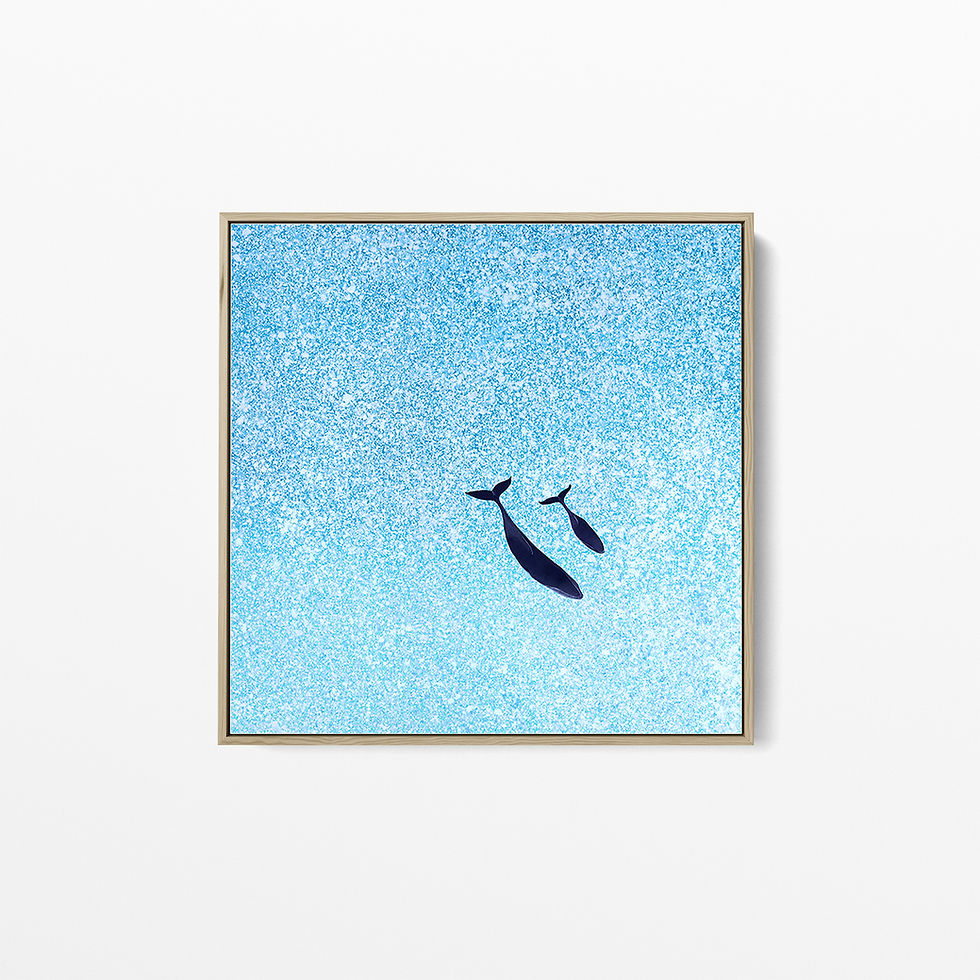 Thumbnail: Pod Baby - Limited Edition Print
