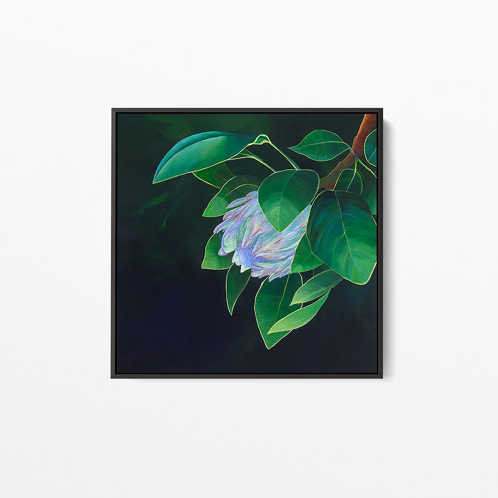 Thumbnail: Beloved Protea - Limited Edition Print