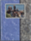 2003