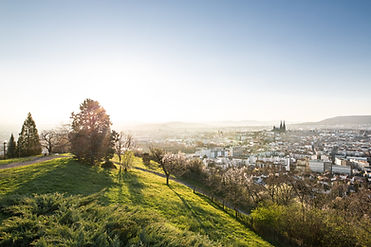 AdobeStock_141020086.jpeg