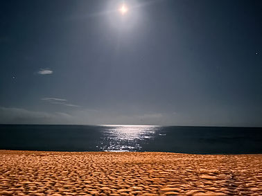 Walking coaching entreprises