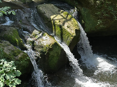 Osagi Walking Coaching Luxembourg