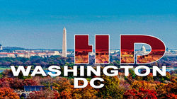 Washington DC Globetrotter Alpha