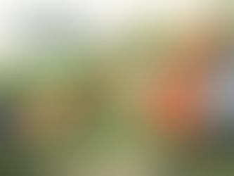 How to Find the Best Remedy for Your Body