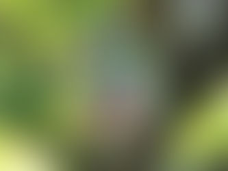 Faerie Balls, Christmas Baubles