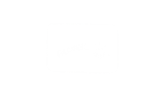 Accueil.png
