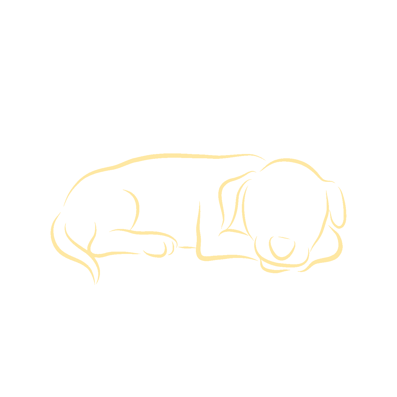 chien