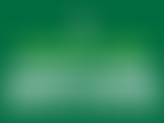 Maior número de vereadores, maior representatividade feminina, número recorde de projetos apresentados.