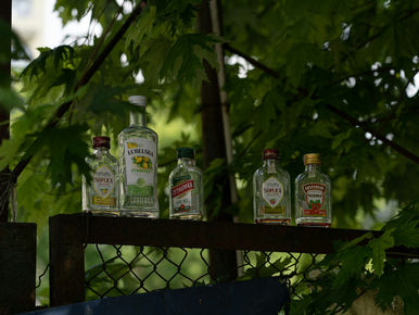 Erwachsene Töchter von Alkoholikern: leere Wodkaflaschen auf einem Metallzaun als Sinnbild für Alkoholismus