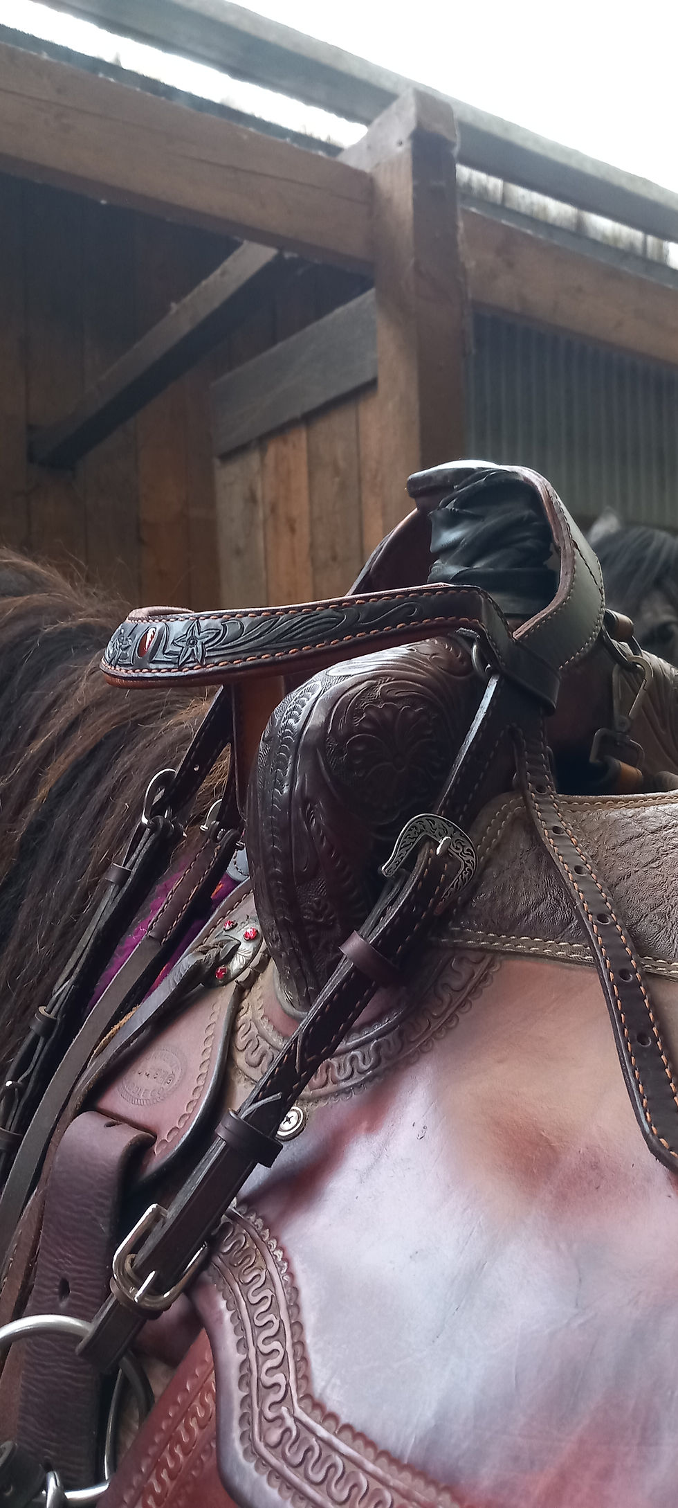 Miniature : Bride coraline