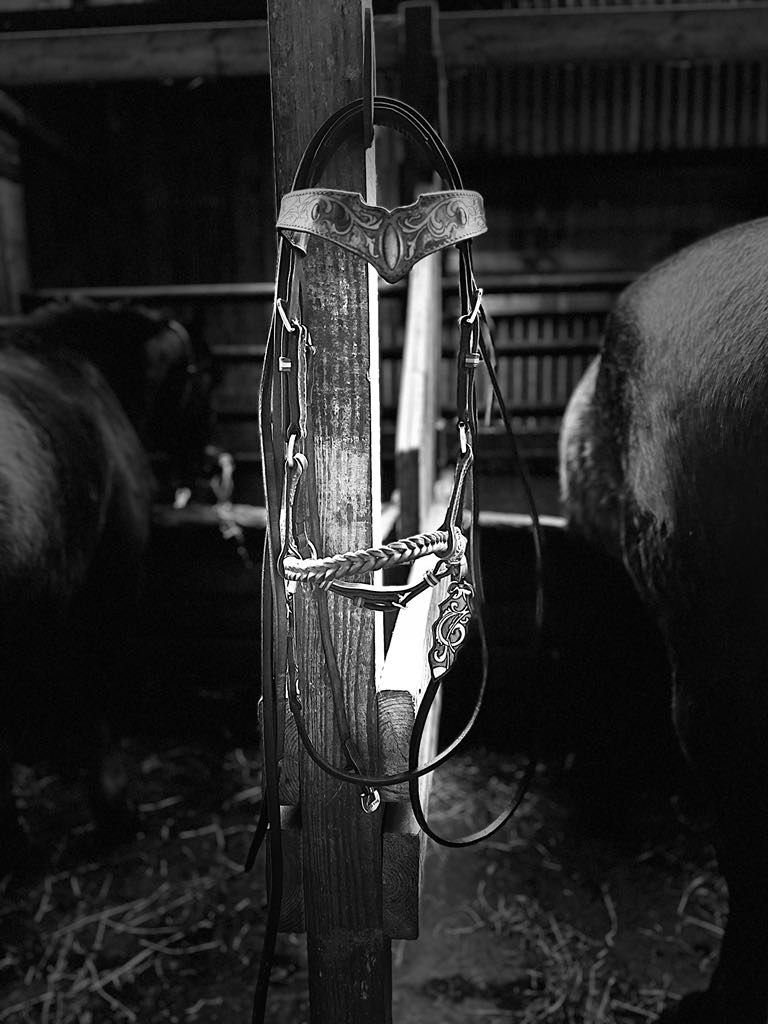 Miniature : Side pull œil de tigres