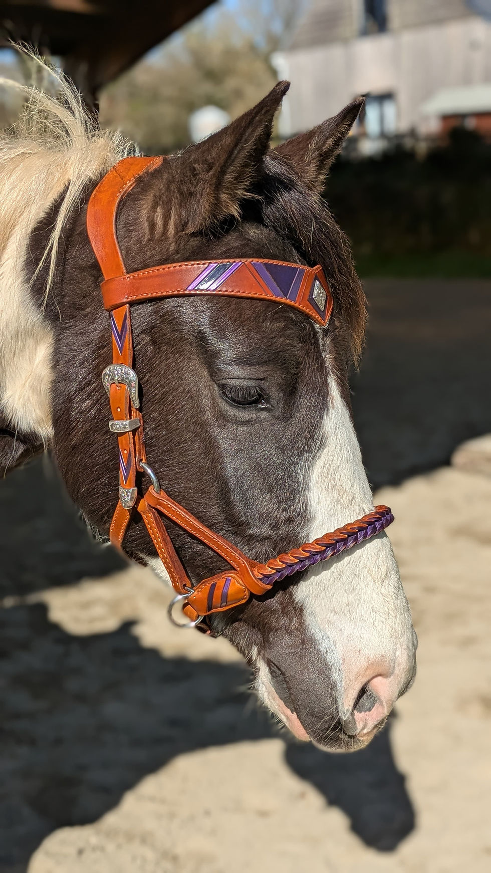 Miniature : Side pull