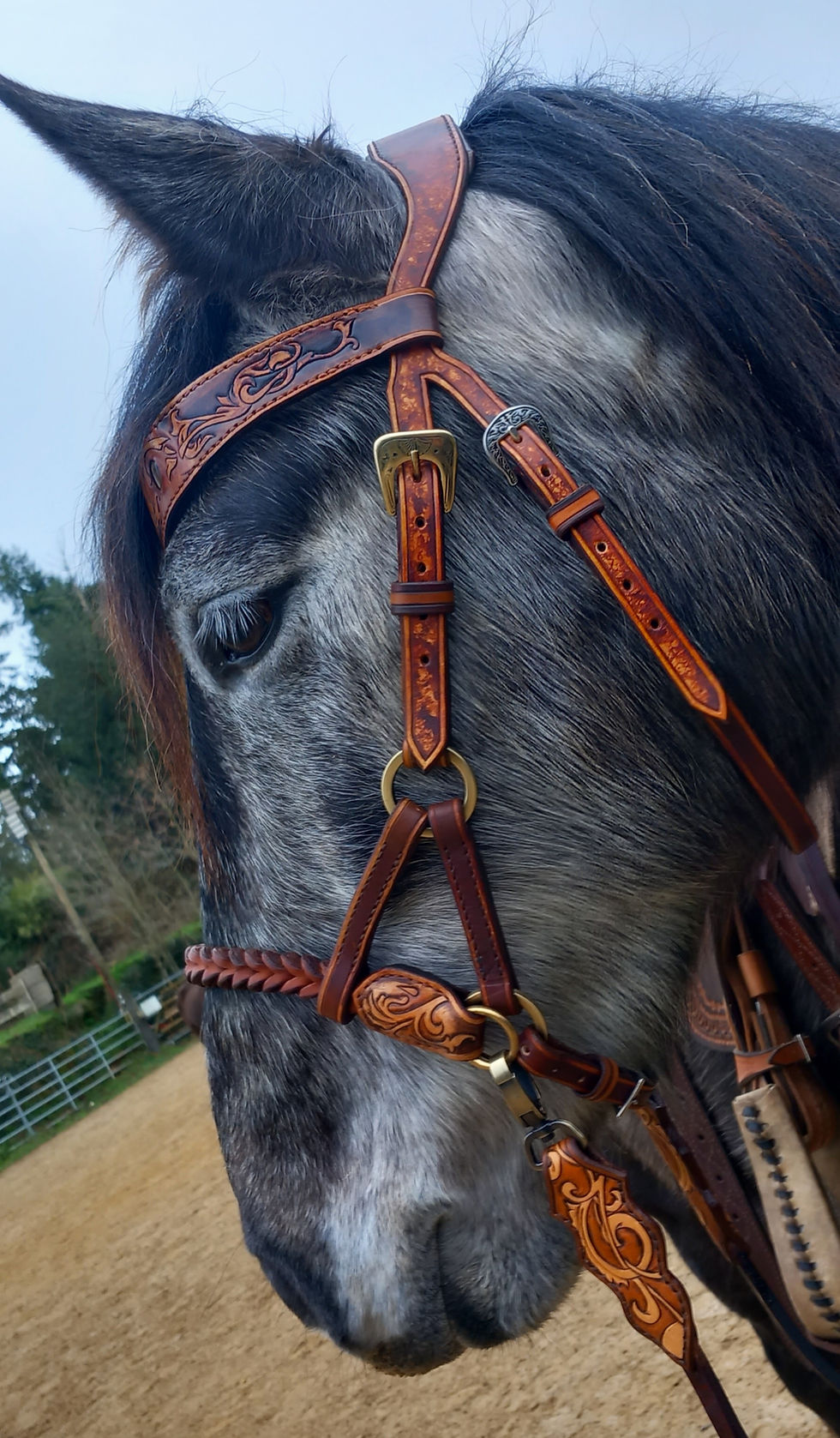 Miniature : Side pull œil de tigres