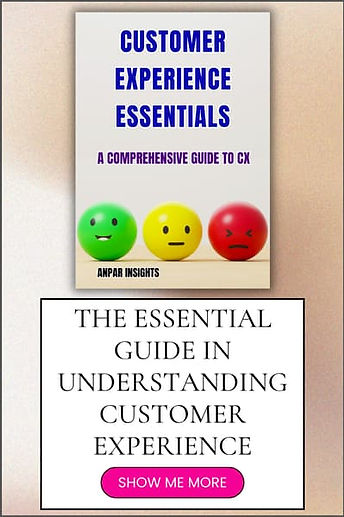Customer Experience Essentials Banner 400x600 (1).jpg