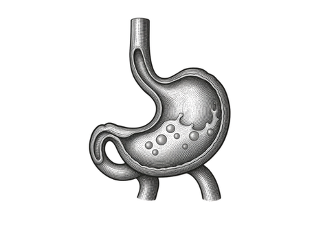 Stiller Reflux: Symptome, Ursachen und was den Magen wirklich entlastet