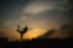 beginner yoga videos