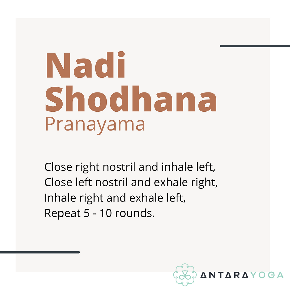 nadi shodhana alternate nostril breathing