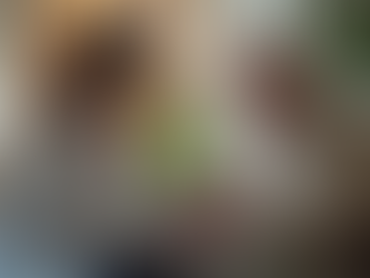 Top Toronto Home Care Solutions for Seniors