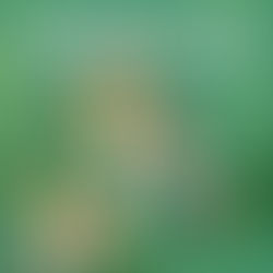 LA CAMPESTRE DELLE SCUOLE 2026 - 14 MARZO - 4° EDIZIONE