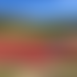 CAMPUS ESTIVO AL TERMINILLO 2025: ISCRIZIONI APERTE!