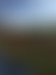 INFOPOINT E OPEN DAYS SAINI