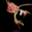 buy gongora grossa orchid online