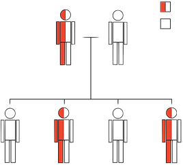 BRCA gene inheritance