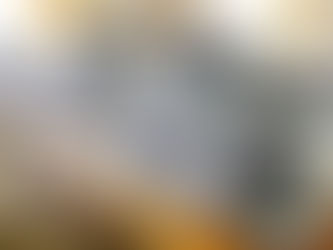 Eleições e o circo, onde o palhaço é você! 