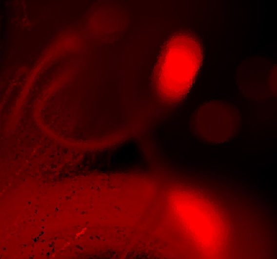 #artgallery #interiordesign #modernart #goddessart #emergingartist #abstractart #artcollector #artgallery #artcollector #artcuator #abstractpainting #modernart #painters #abstractartist #textureart #sculptureart #instagramartist #sculptureartist #digitalart #digitalartist #galeriaazurmadrid #sacredgeometry #intuitiveart #spiritualart #mysticalart #visionaryart #goddessart #femaleportrait  #portraitwoman