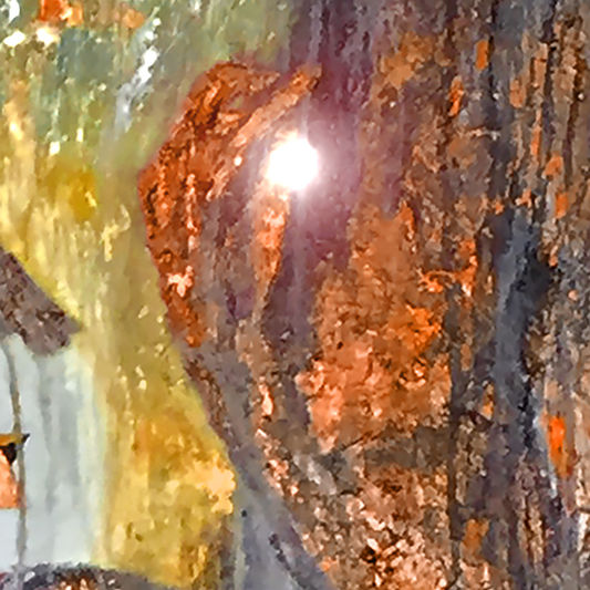 d3 ariel & michael.jpg