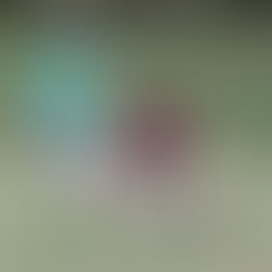 Sheffield showcases Gaelic football talent in second sevens tournament