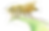 Bee (2).png