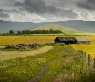 Life @ Kings - December 2020 part 1