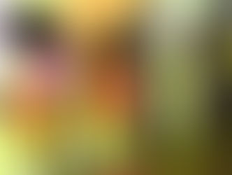 Mara Davoli no Brasil: reflexões para uma educação criativa
