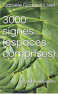 3000 signes (espaces comprises) couv.png