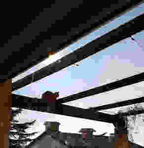 chat guettant des oiseaux qui ne viennent pas