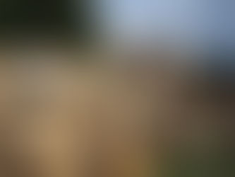 Les vieilles pierres, vous les aimez comment ?