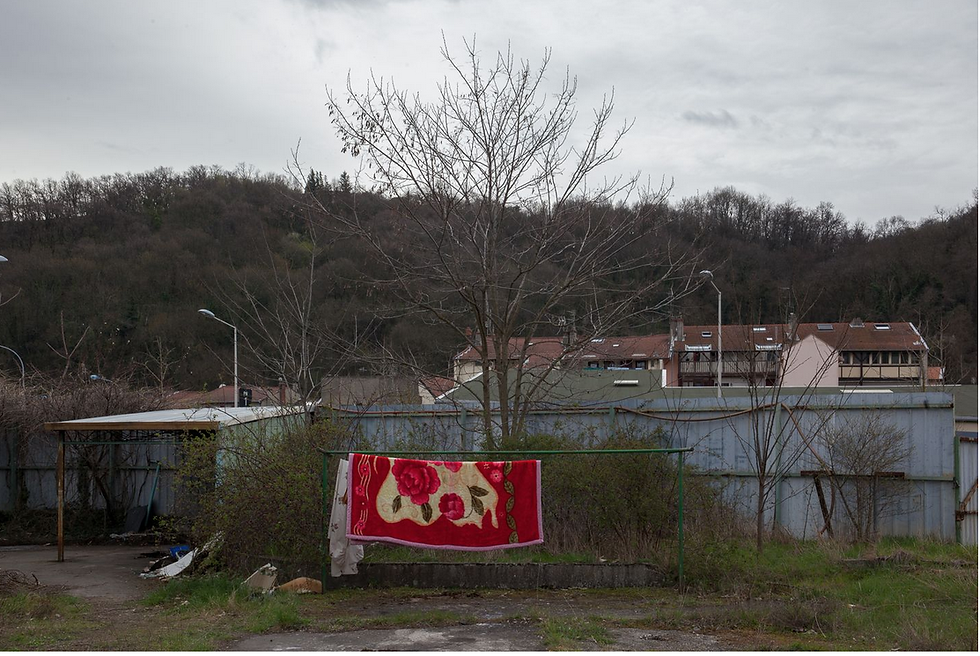 un tapie saérant sur une clôture, ARN