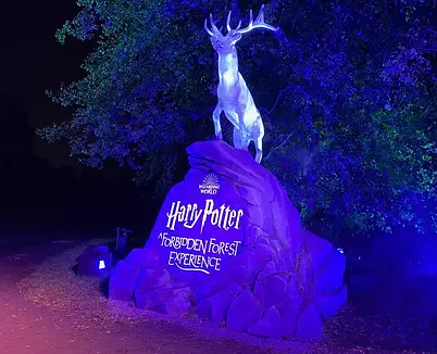 Harry Potter: A Forbidden Forest Experience 2022