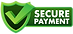 secure-payment-credit-card-icon-with-shield-secure-transaction-stock-illustration-vector.p