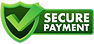 secure-payment-credit-card-icon-with-shield-secure-transaction-stock-illustration-vector.p