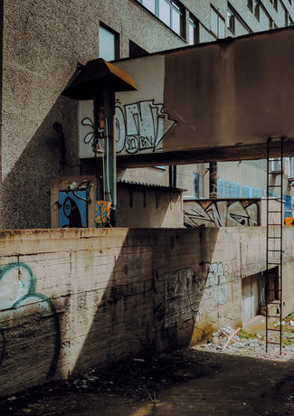 L1020926.jpg