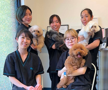 Clover Dog Design Team.jpg