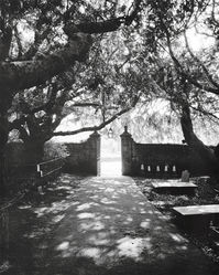 Black and white  large format photograph of the path leading to the gate at St Brynach's Church, Nevern, Wales.