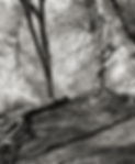 2024 # 031 posted 150724 adj layer.jpg